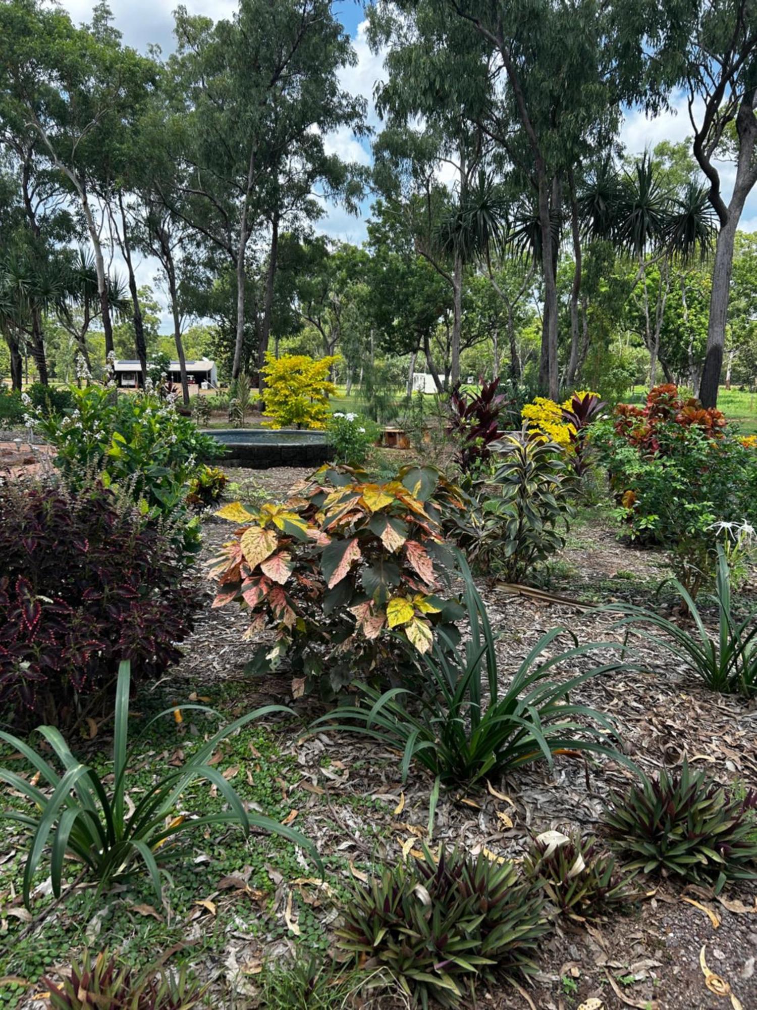 Litchfield Tropical Stay Batchelor ภายนอก รูปภาพ