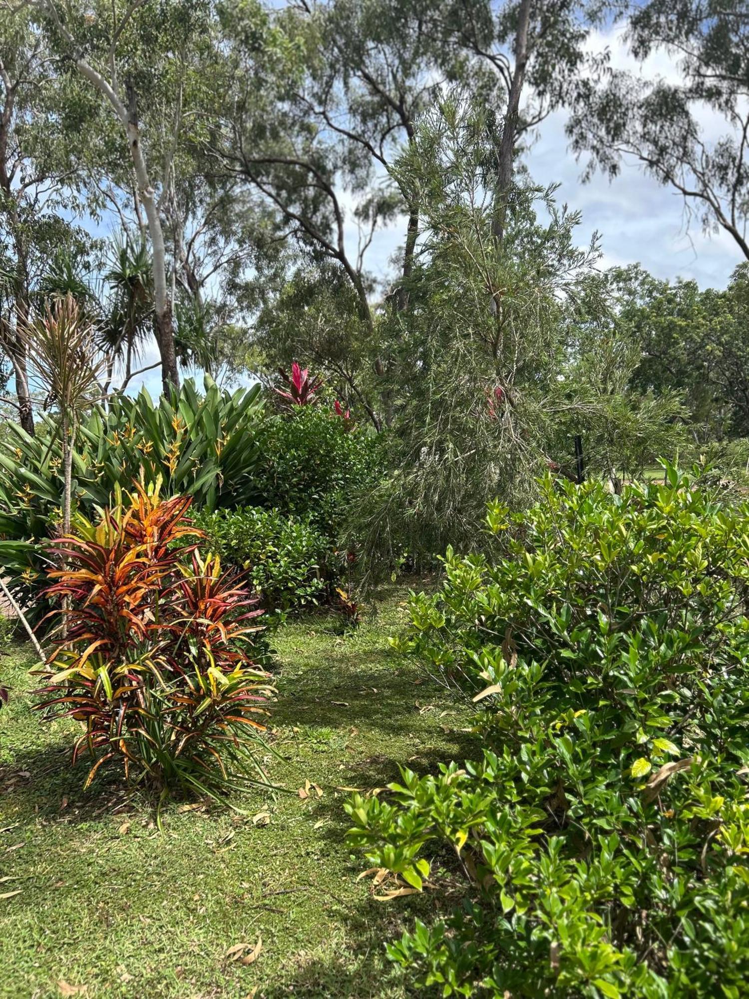 Litchfield Tropical Stay Batchelor ภายนอก รูปภาพ